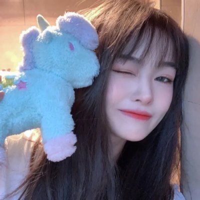 暴太郎战队DON BROTHERS